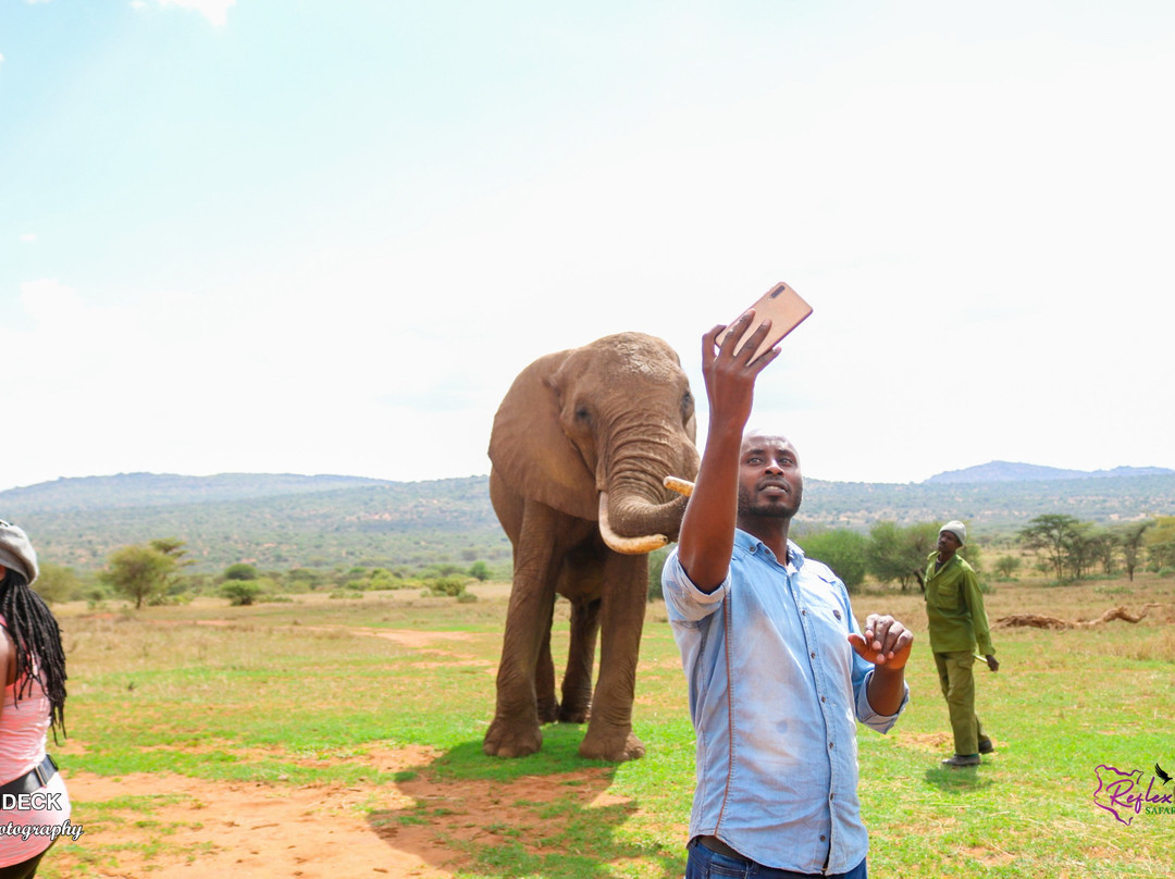 Ol Jogi Wildlife Conservancy-南由基必去景点