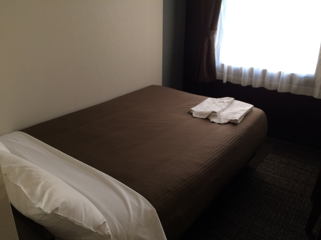 Hotel Trend Okazaki Ekimae主图