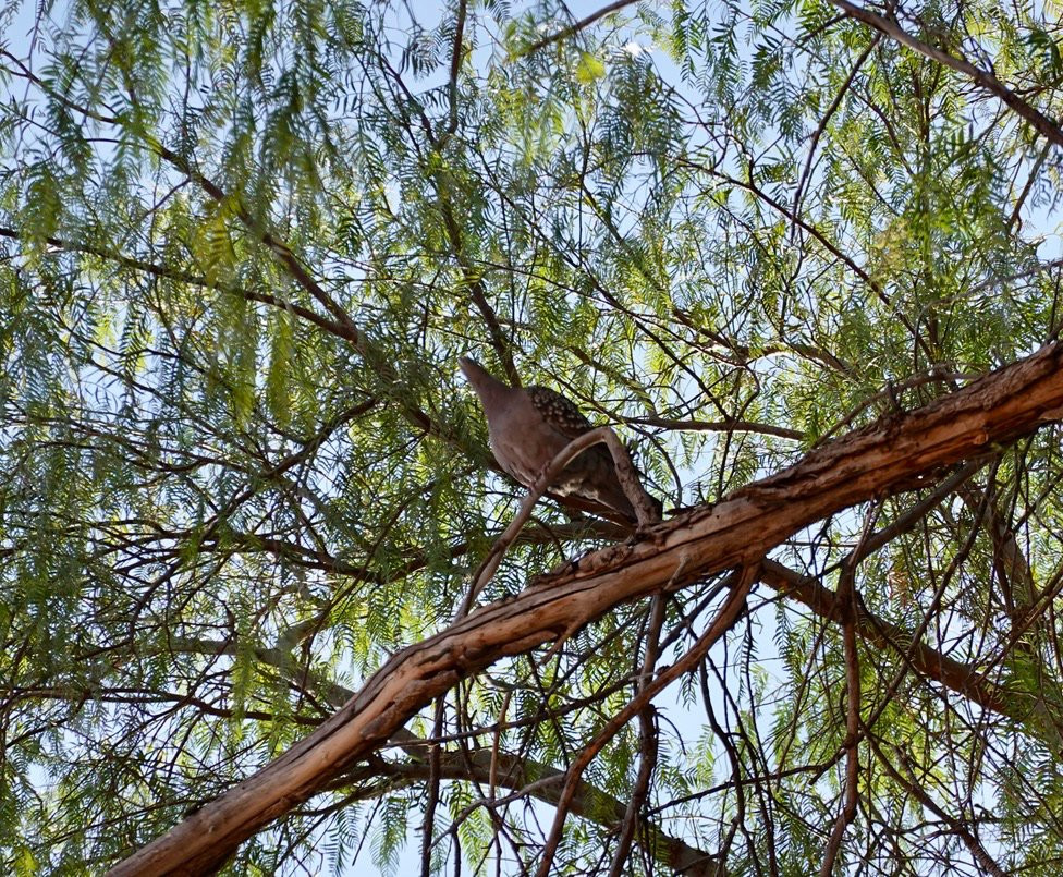 Hosteria Huaco San Juan主图