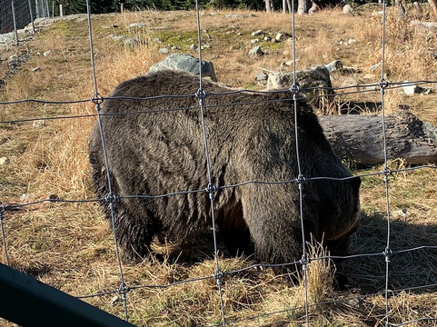 Viva Tours & Charters-北温哥华必去景点