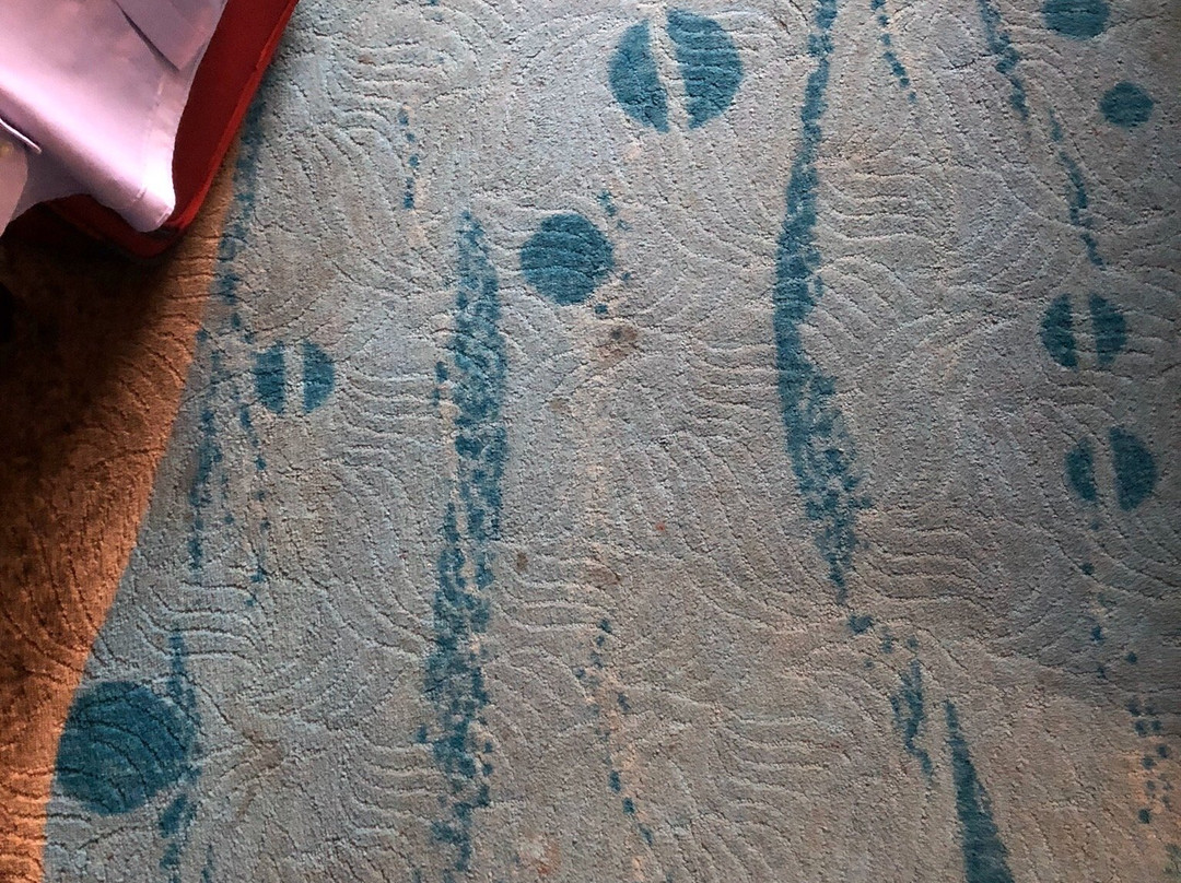 Soaring Eagle Waterpark and Hotel主图