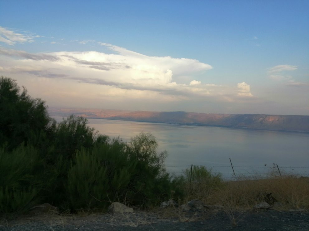 Switzerland Forest-提比利亚必去景点