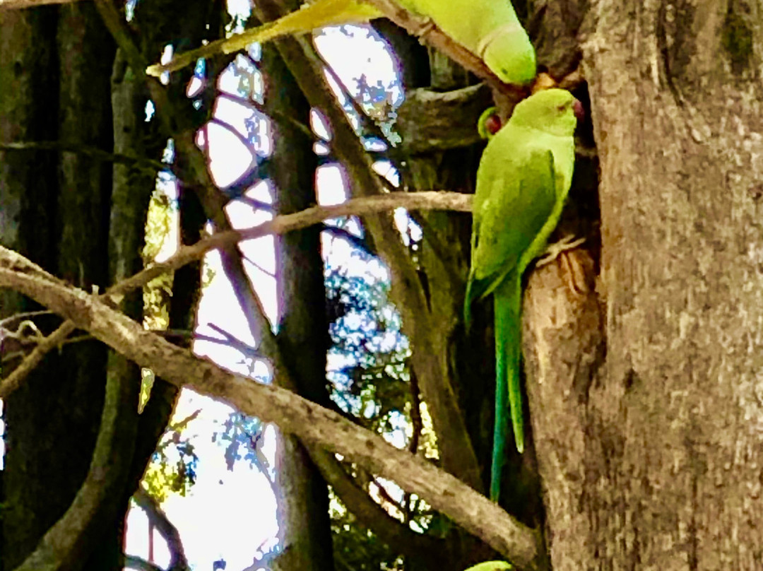 Gornenskiy Monastery-耶路撒冷必去景点