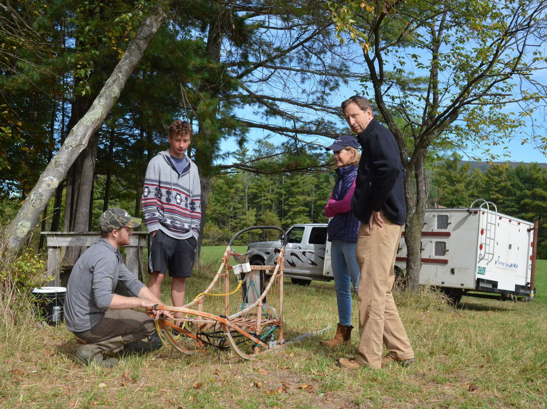 Cobble Hill Kennel-Middlebury必去景点