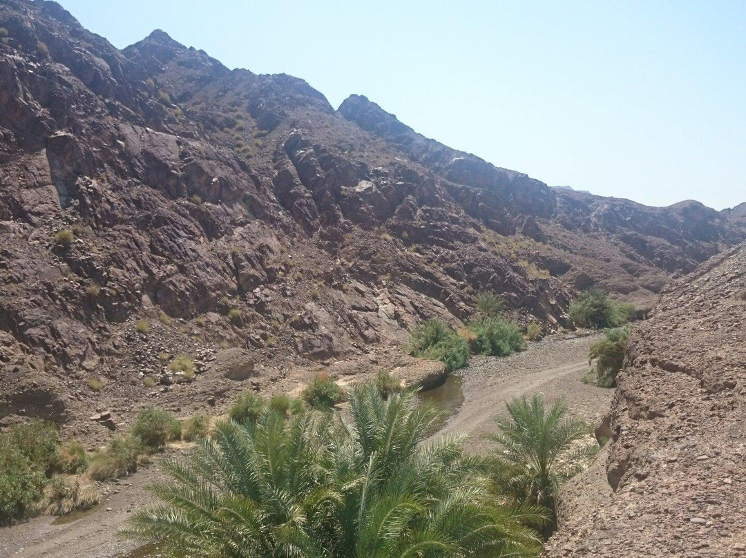 Wadi Al Qahfi景点图片