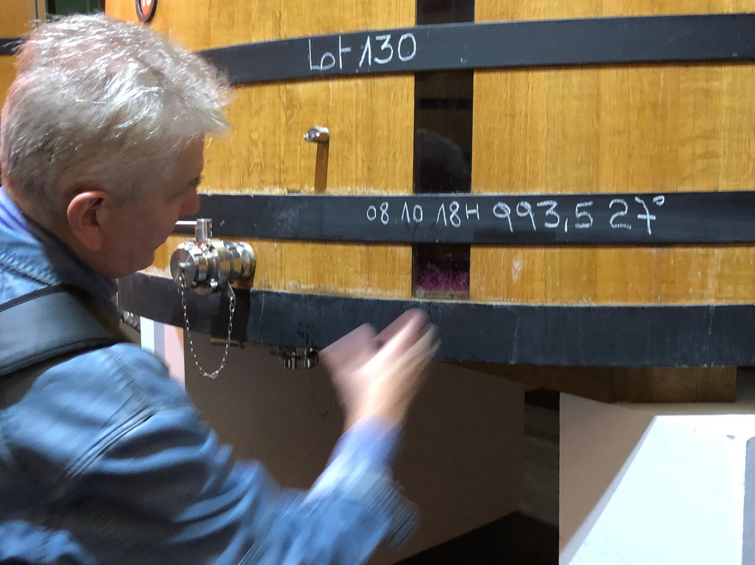 Chateau Mouton Rothschild景点图片