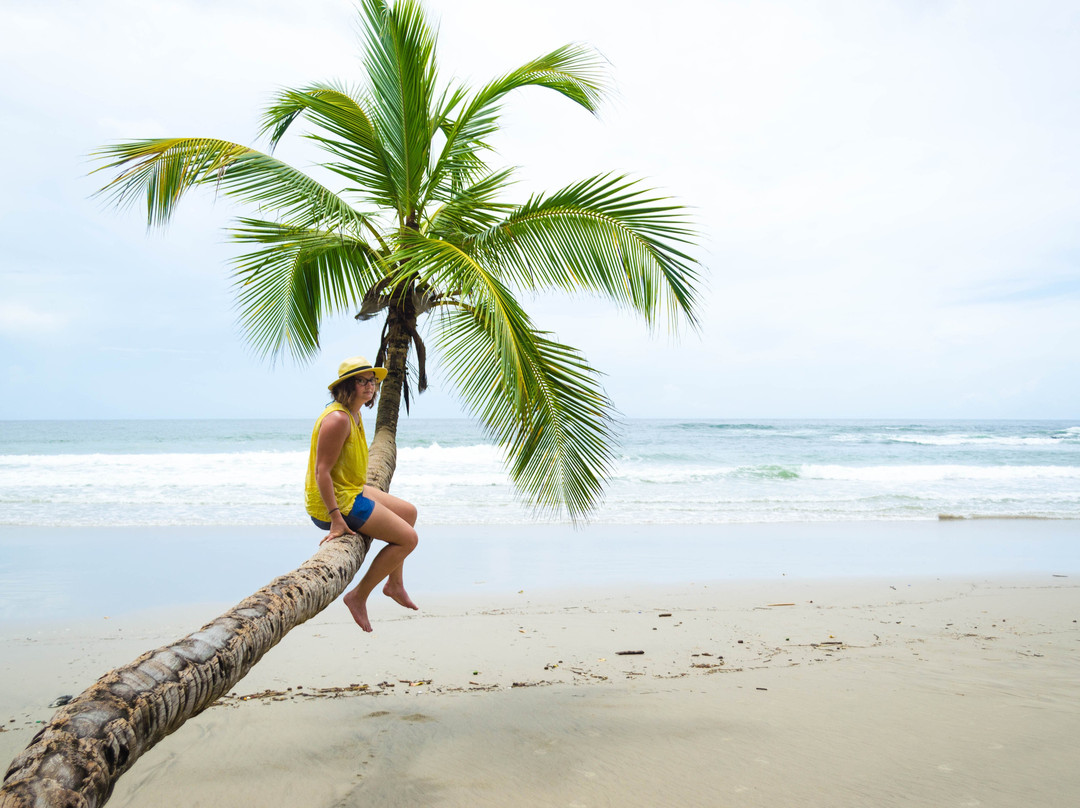 Island Experiences - Eco-Cultural Tours & Yacht Charters-西班牙港必去景点