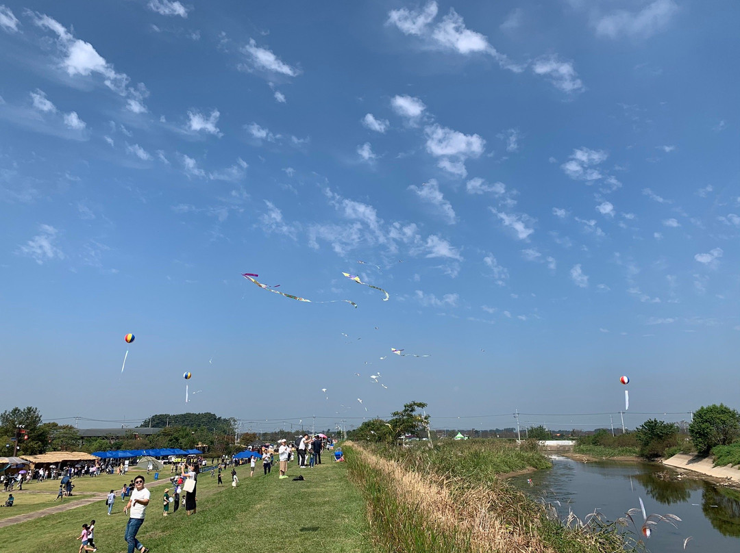 Gimje Horizon Festival-金堤市必去景点