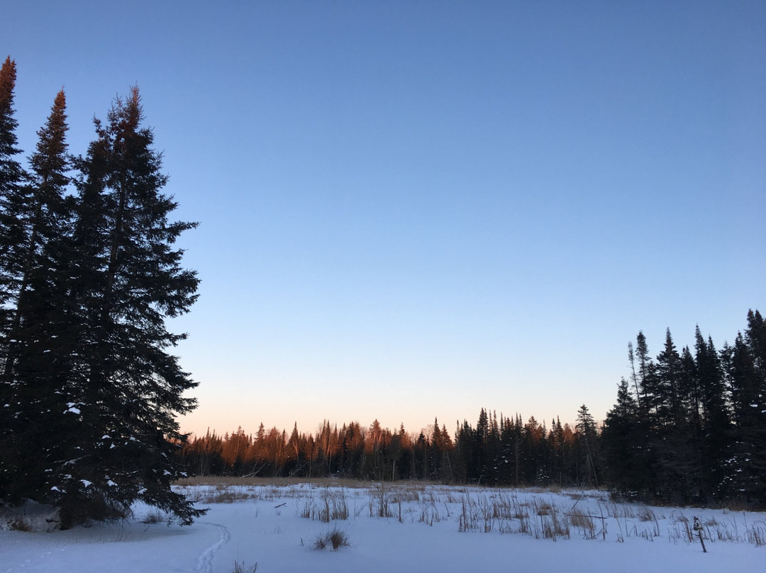 Kawartha Nordic Ski Club景点图片