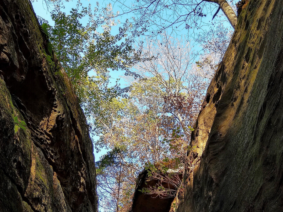 Rim Rock Recreational Area景点图片