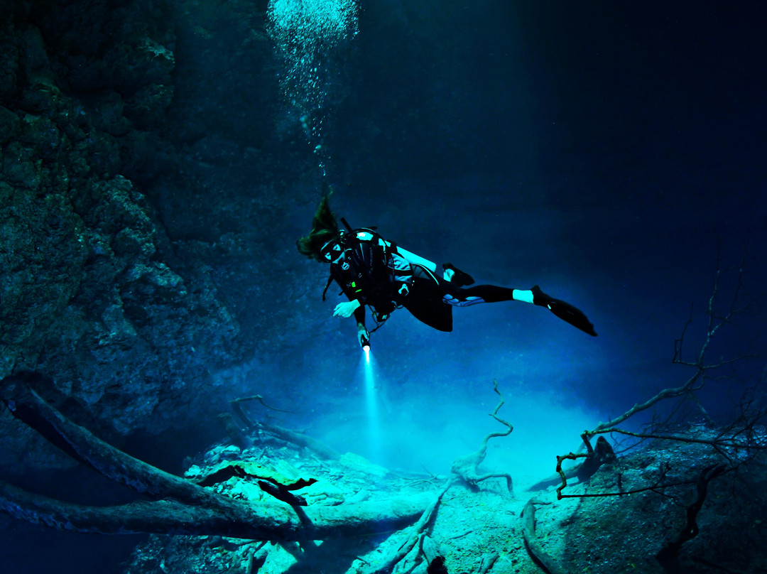 Maya Blue Dive Center景点图片