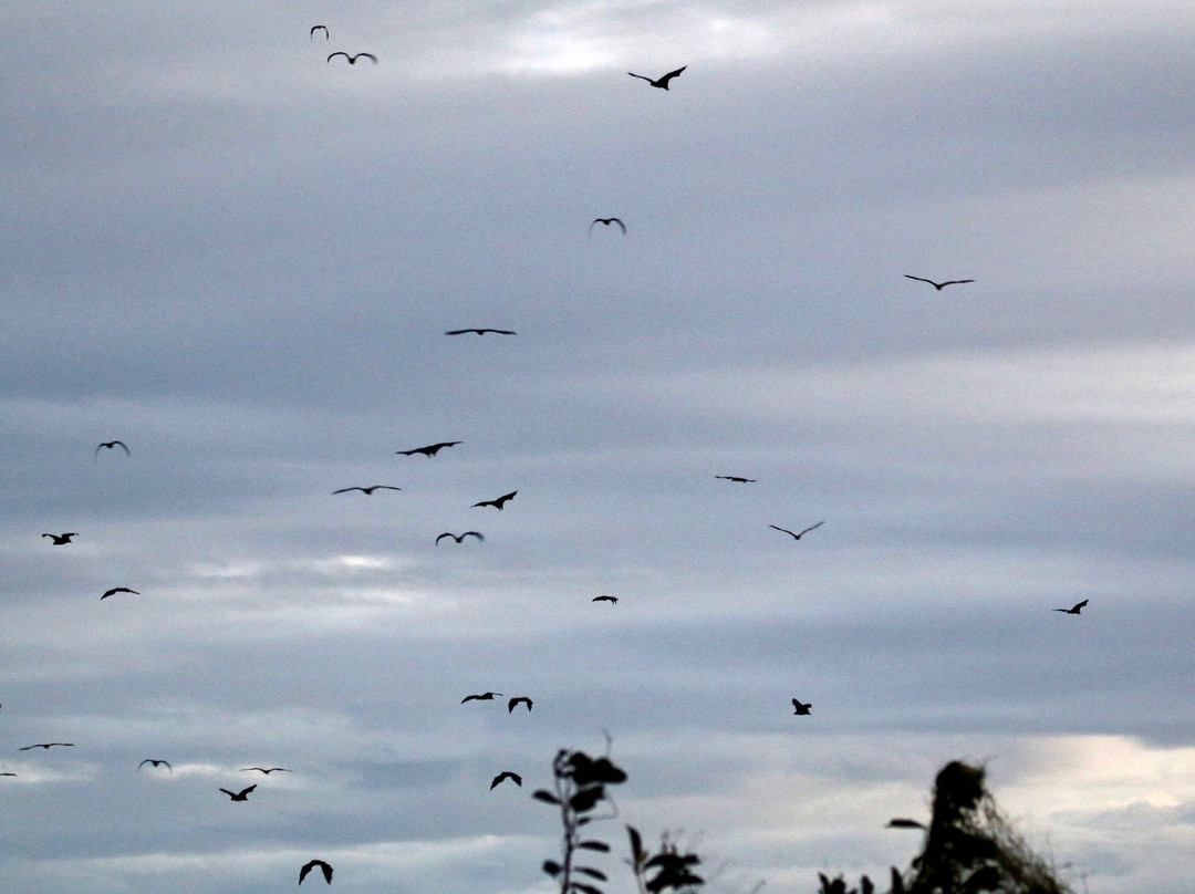 Pole Pole Bungalows主图