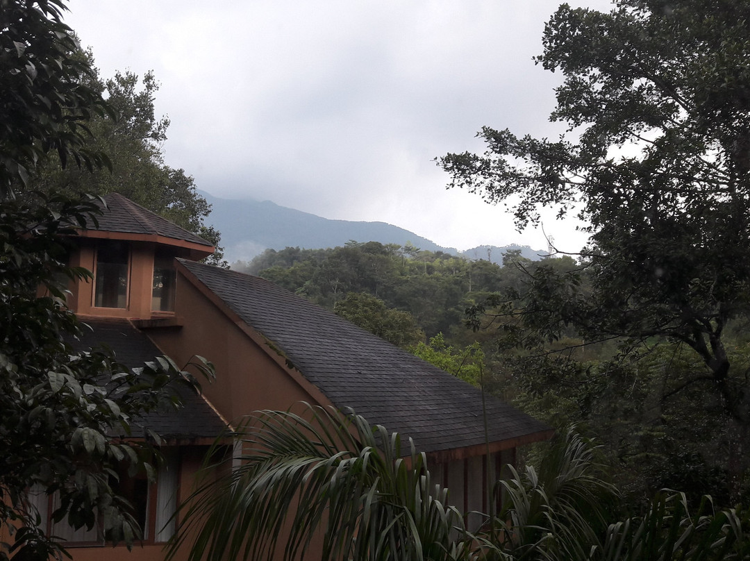 Vythiri Village Resort主图