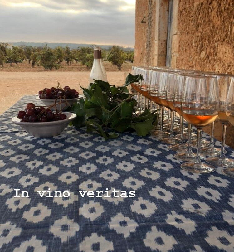 Mallorca Wine Tours景点图片