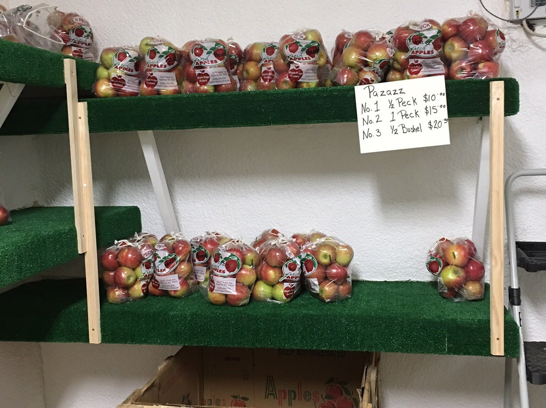 Maple Ridge Orchard景点图片