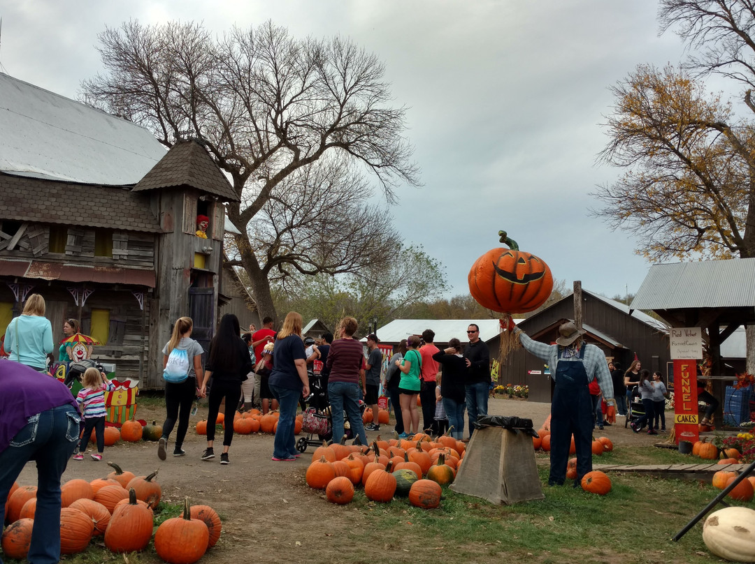 Wilber旅游景点-Roca Berry Farm