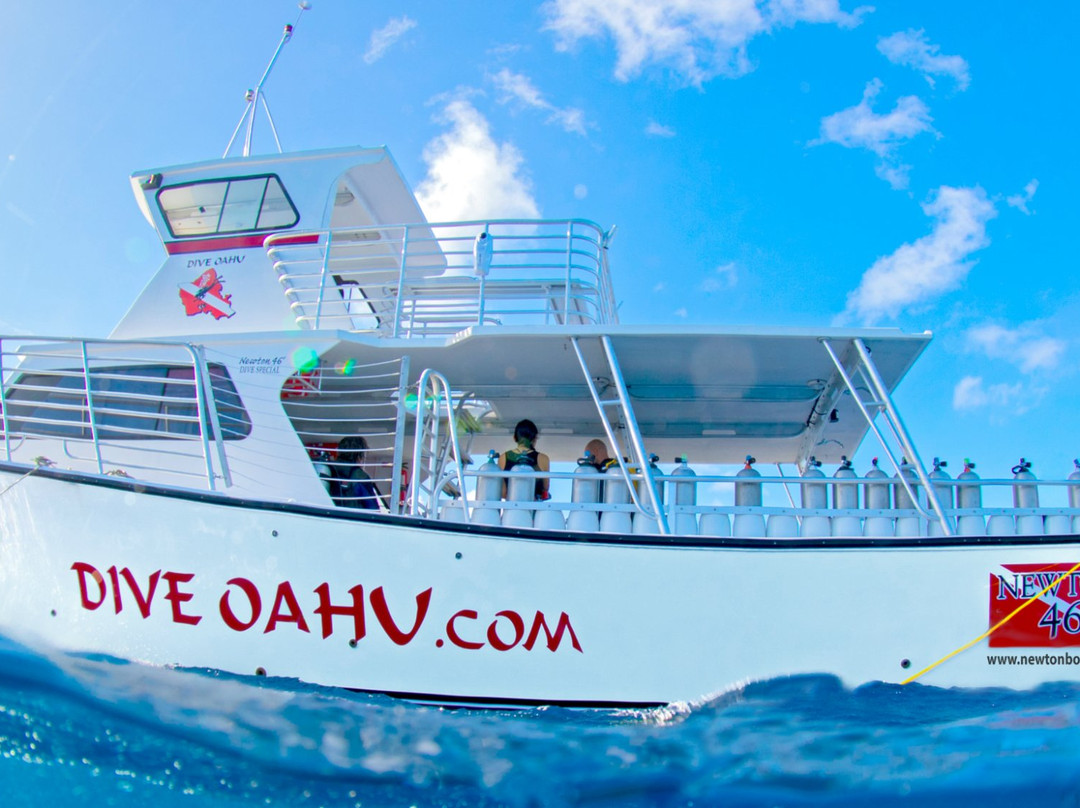 Dive Oahu景点图片