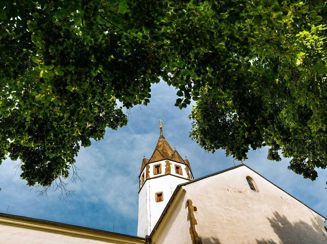Kostel Nanebevzeti Panny Marie景点图片