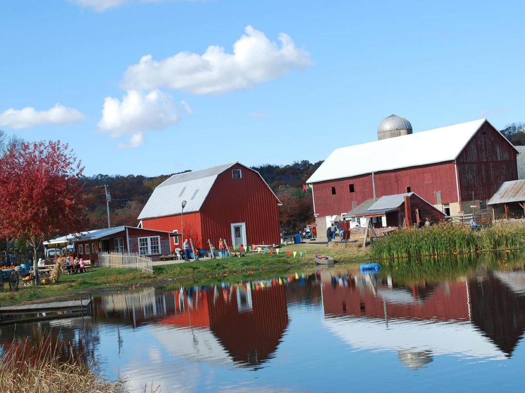 Treinen Farm Corn Maze and Pumpkin Patch-Lodi必去景点
