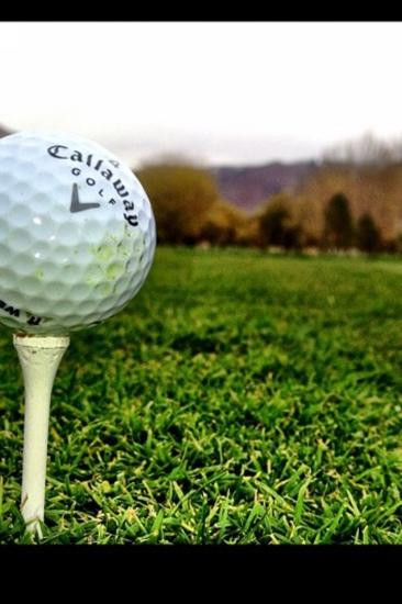 Barn Golf Course-奥格登必去景点