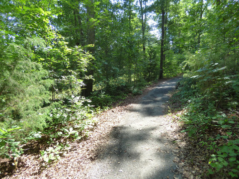 Jenkinsville旅游景点-Rocky Branch Natural Area