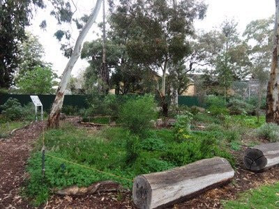 Forest Avenue Reserve-Everard Park必去景点