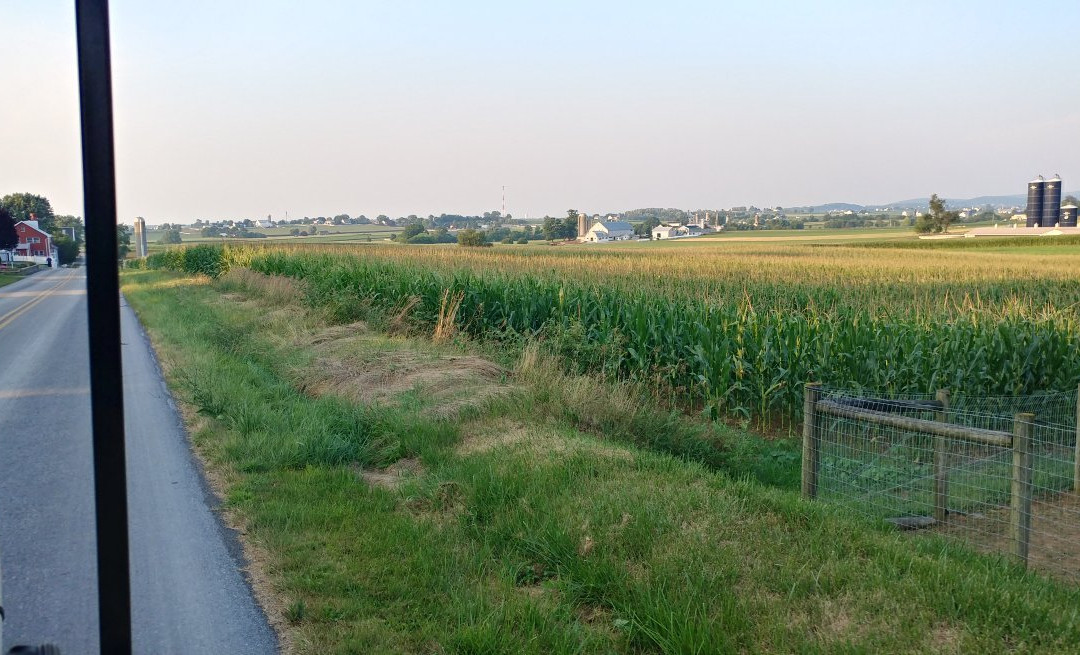Amish Country Wagon Rides景点图片