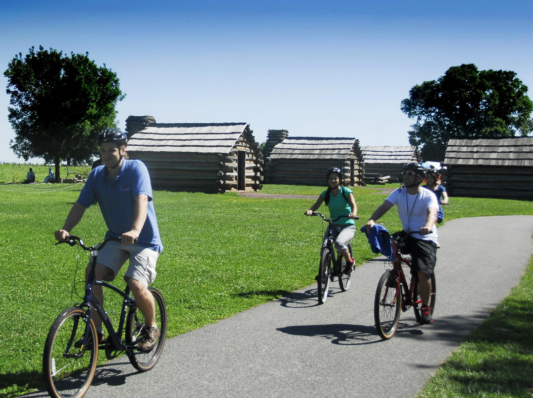 Chesterbrook旅游景点-The Encampment Store