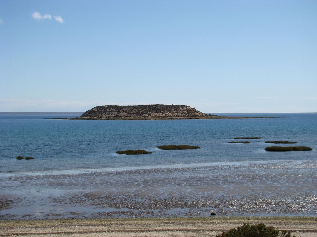 Reserva Natural Isla De Los Pajaros景点图片