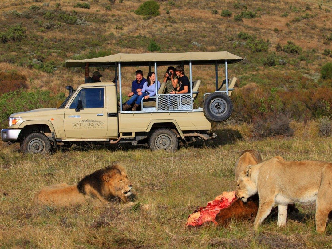 African Nature Quest-约翰内斯堡必去景点