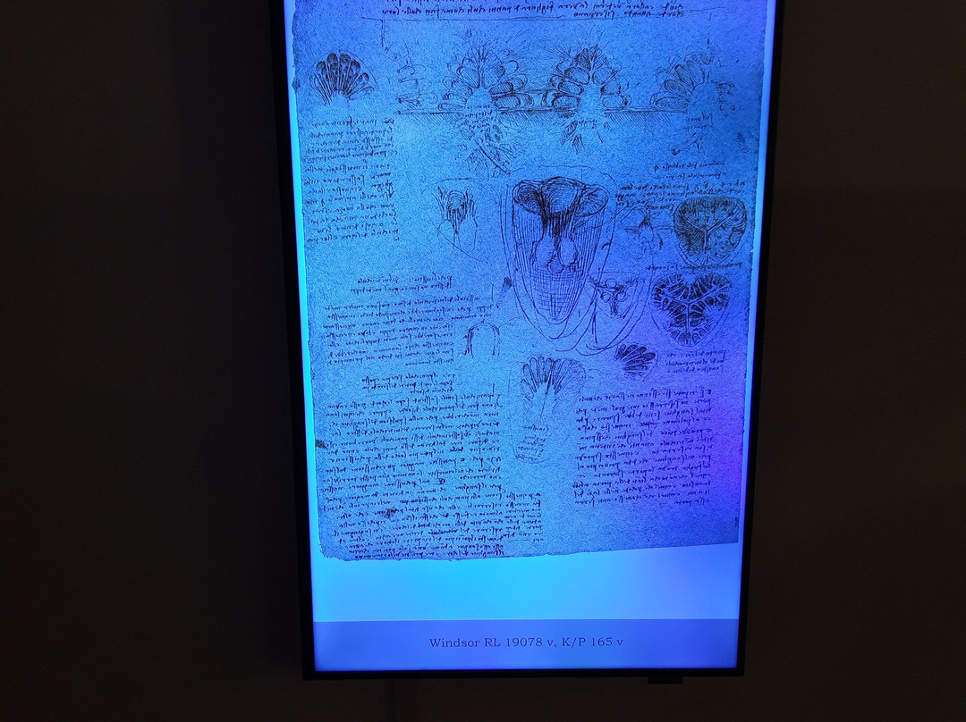 Museo Leonardiano di Vinci-芬奇必去景点
