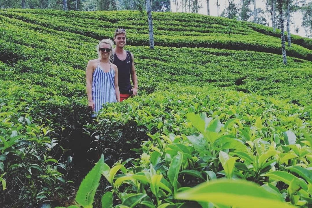 Adamspeak tours-Nallathanniya必去景点