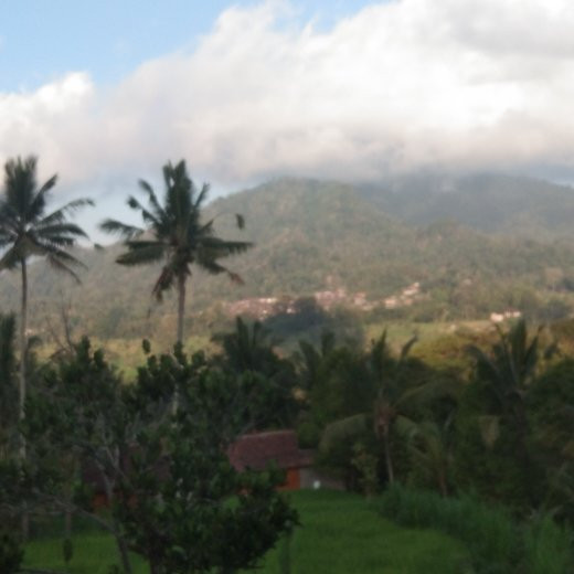 Pondok Uma Ayu Sidemen主图