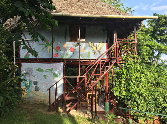 Free Spirit Oasis主图