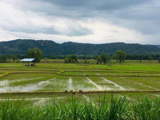 Balangoda旅游攻略图片