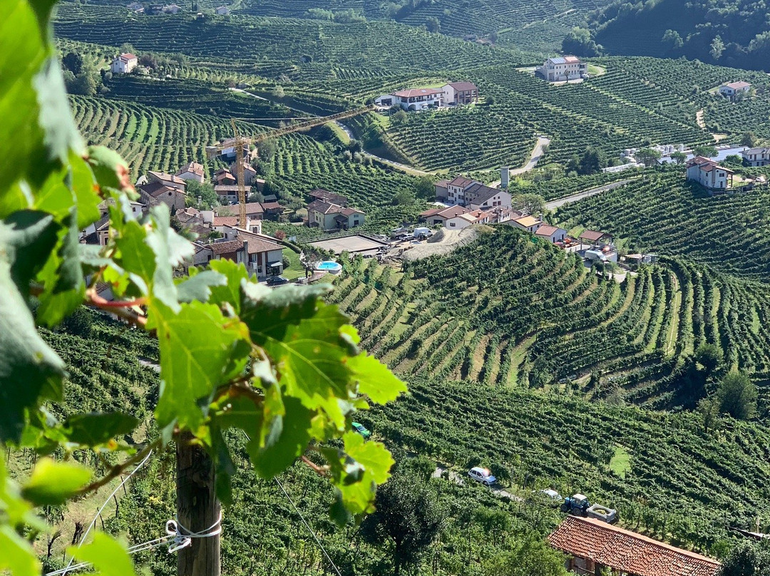 Prosecco Hills - World Heritage Site景点图片