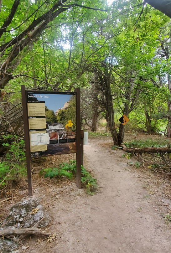 Jones Hole Trail景点图片