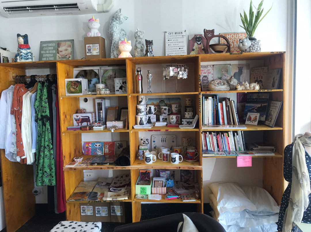 Cat Cuddle Café-布里斯班必去景点