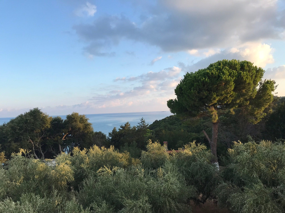 Kastro Beach Hotel主图