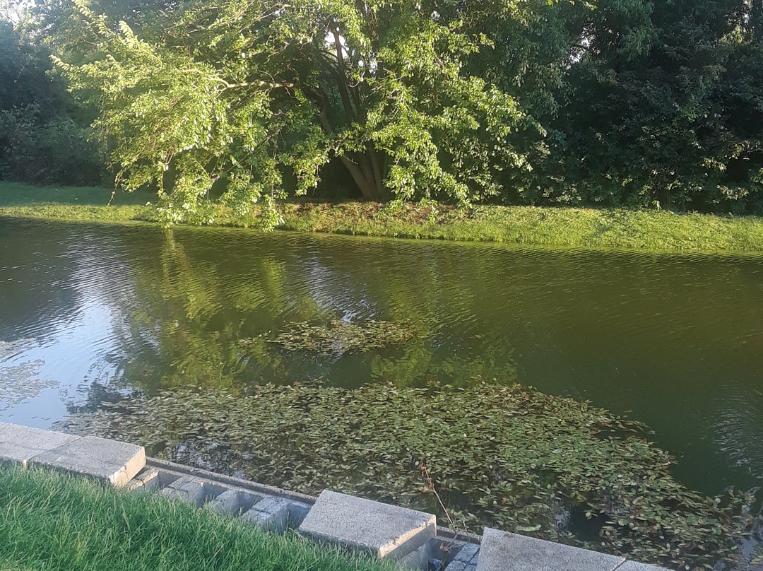 Extended Stay America Select Suites - Chicago - Downers Grove主图