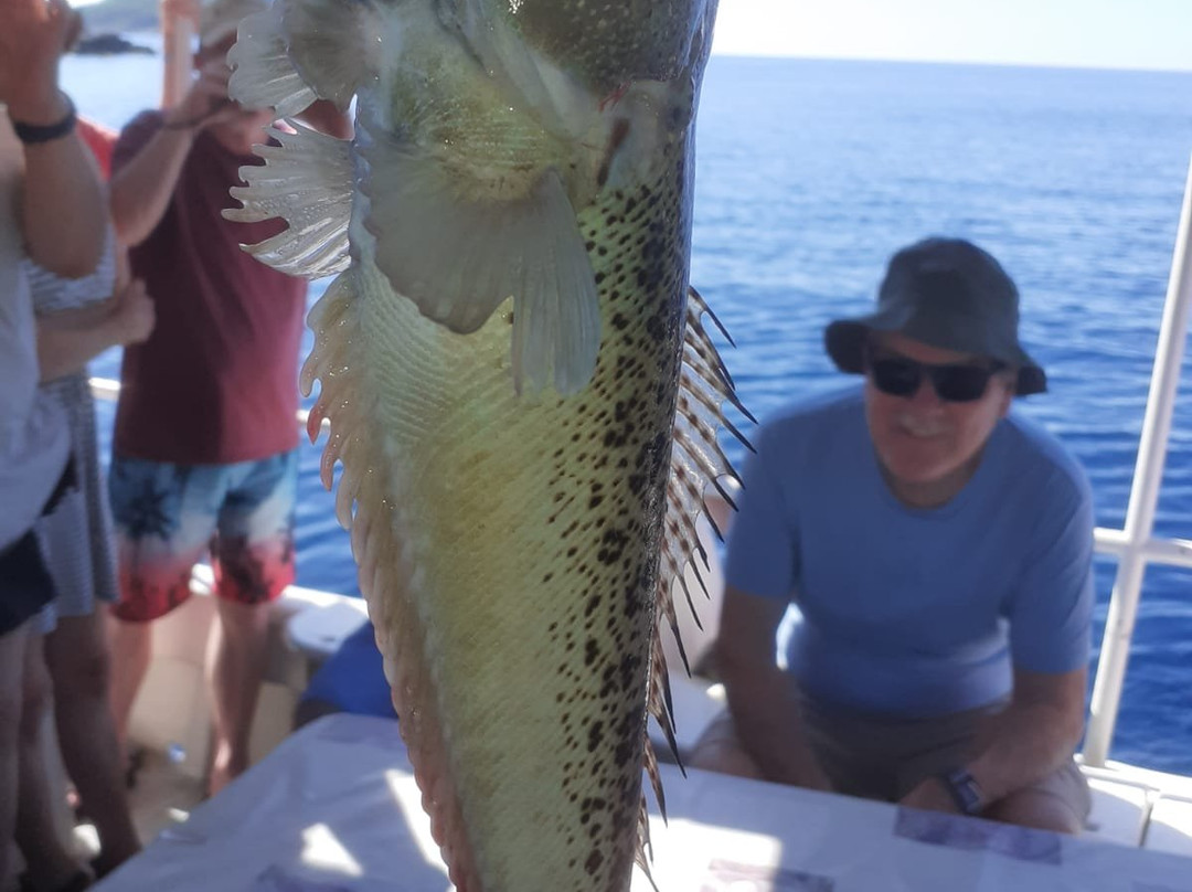 Survival Beach-Aguadilla必去景点