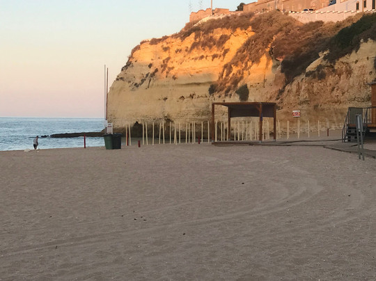 Hotel Carvoeiro Plaza主图