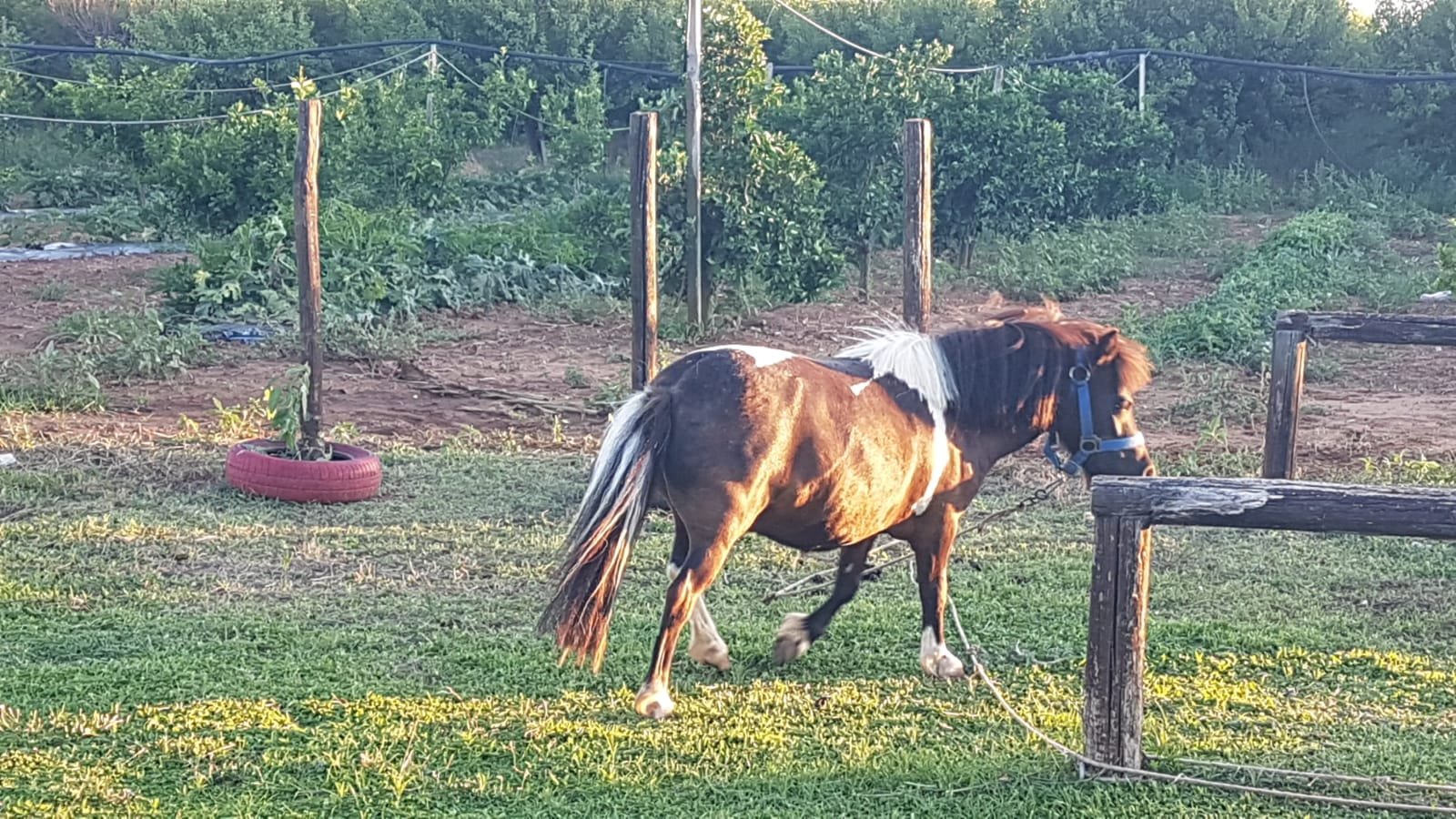 Agriturismo Sant' Andrea-浴室