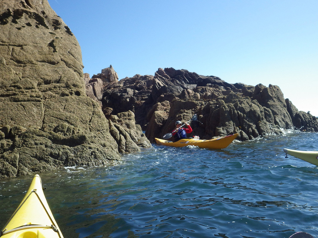 Jersey Kayak Adventures景点图片