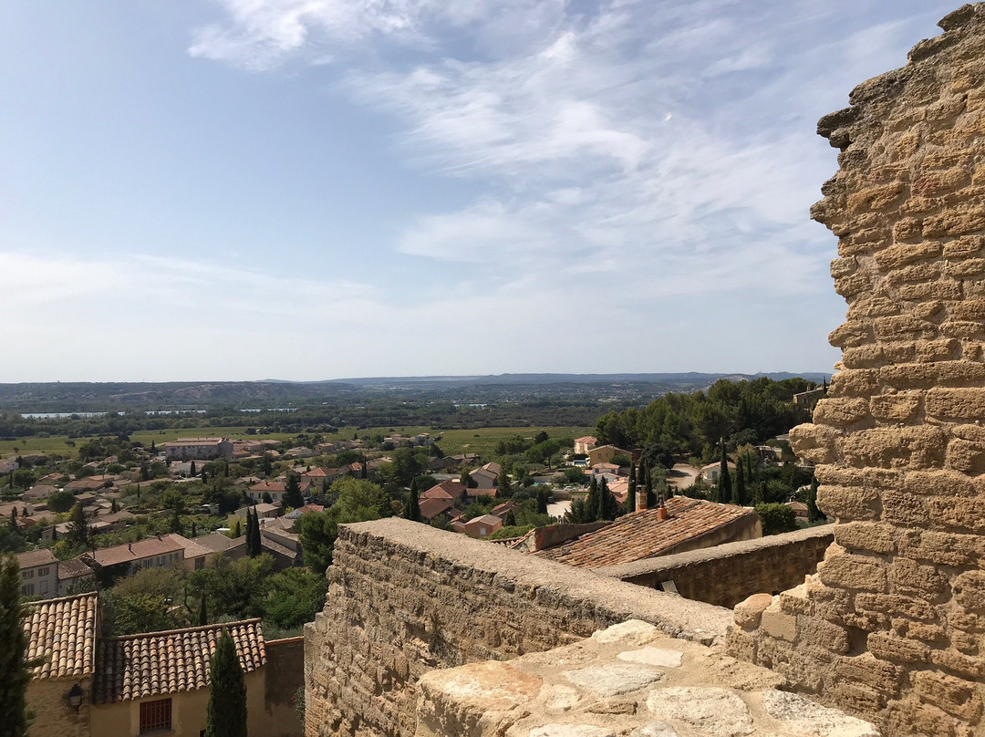 Chateau de Pape Jean XXII景点图片
