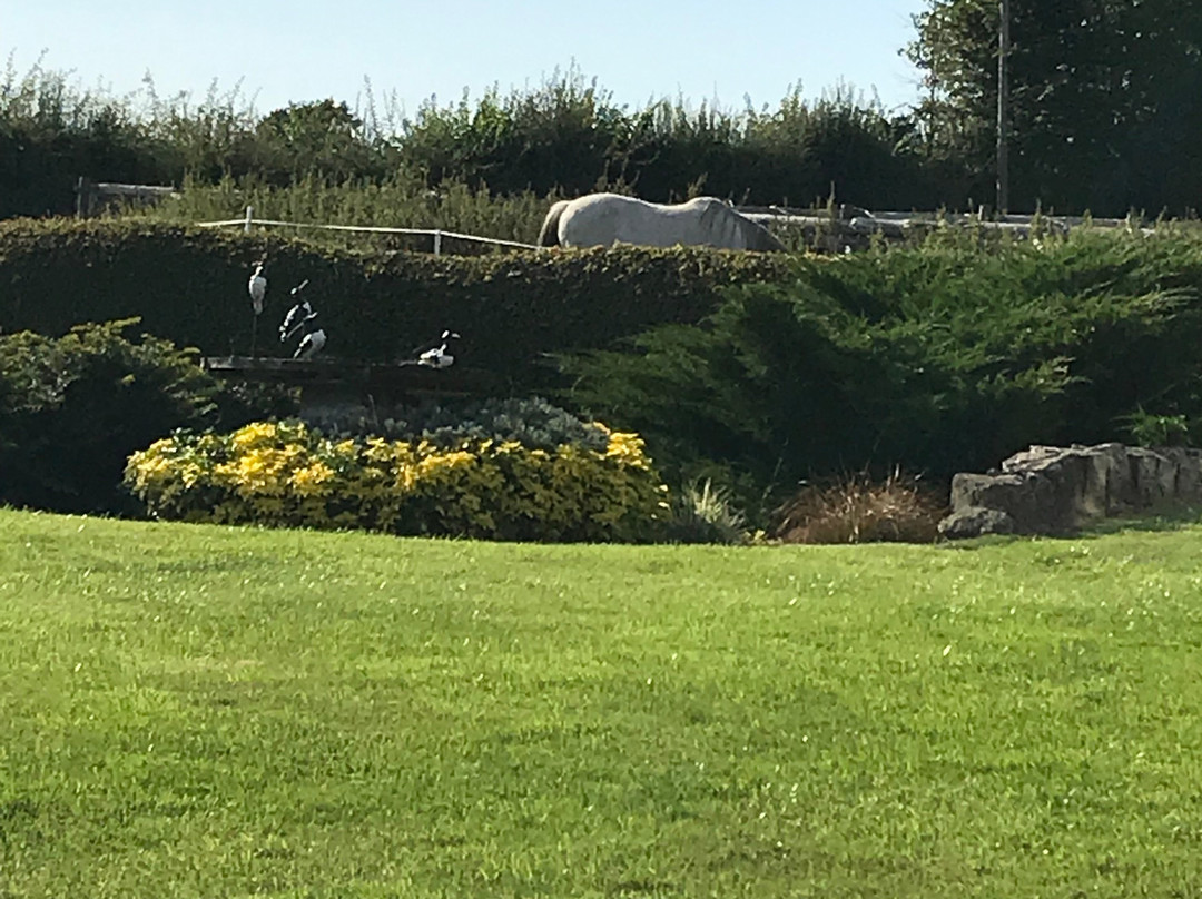 Wick St. Lawrence旅游攻略图片