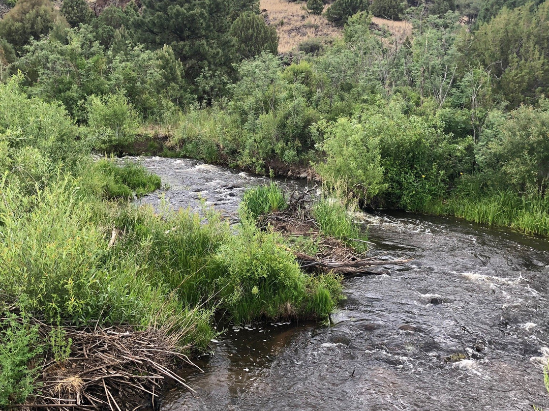 X Diamond & MLY Ranch主图