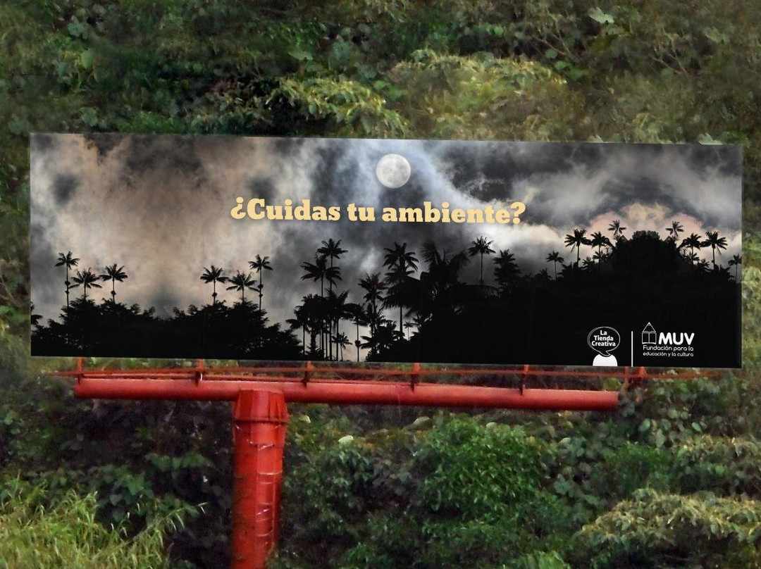 Fotografia Palma y Niebla-萨伦托必去景点