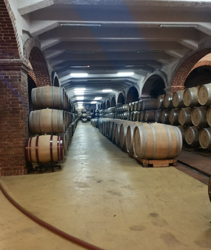 Tikves Winery-Kavadarci必去景点