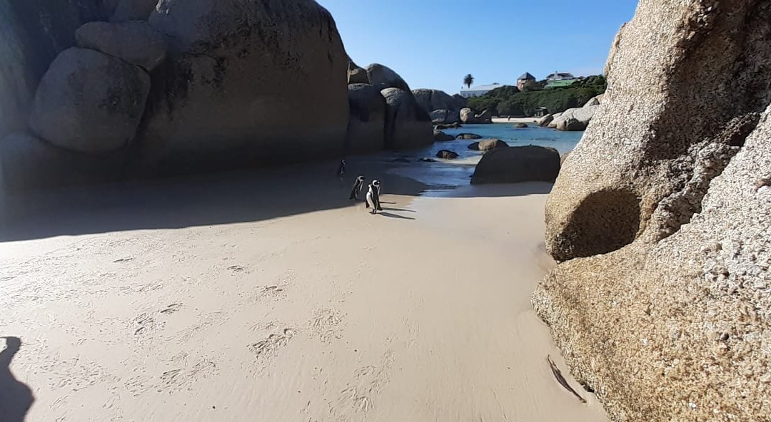 Shark Warrior Adventures-西门镇必去景点